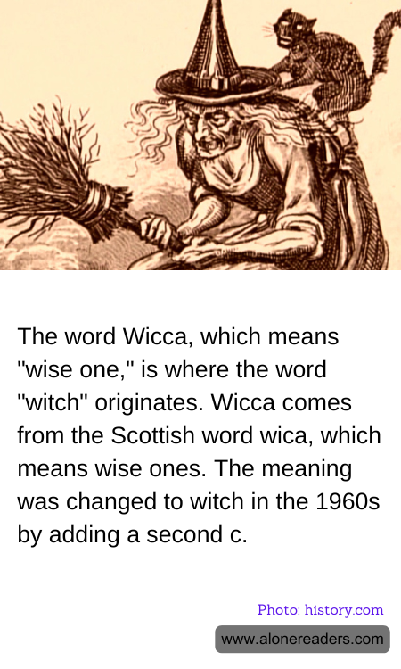 The word Wicca, which means "wise one," is where the word "witch" originates. Wicca comes from the Scottish word wica, which means wise ones. The meaning was changed to witch in the 1960s by adding a second c.