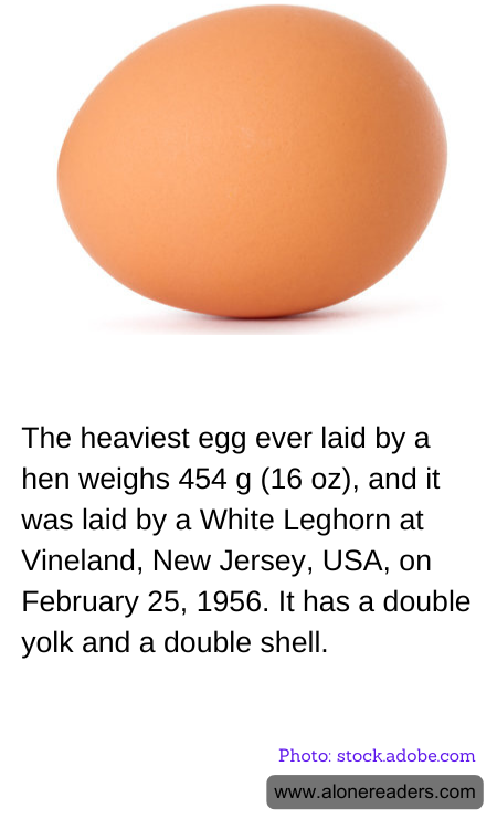 The heaviest egg ever laid by a hen weighs 454 g (16 oz), and it was laid by a White Leghorn at Vineland, New Jersey, USA, on February 25, 1956. It has a double yolk and a double shell.