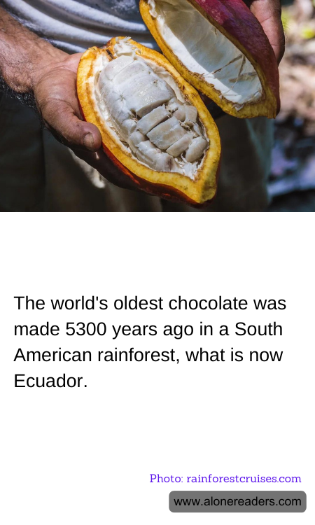 The world's oldest chocolate was made 5300 years ago in a South American rainforest, what is now Ecuador.