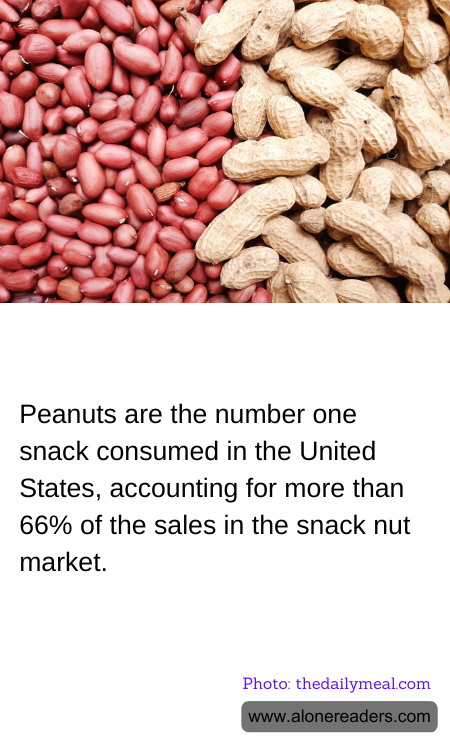 Peanuts are the number one snack consumed in the United States, accounting for more than 66% of the sales in the snack nut market.