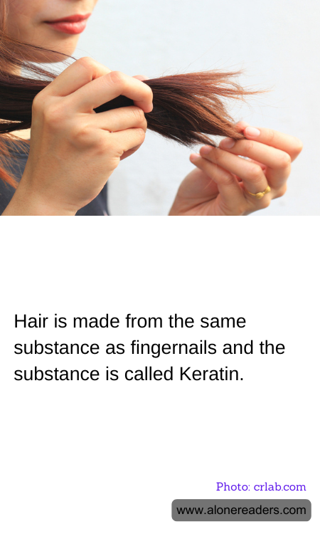 Hair is made from the same substance as fingernails and the substance is called Keratin.