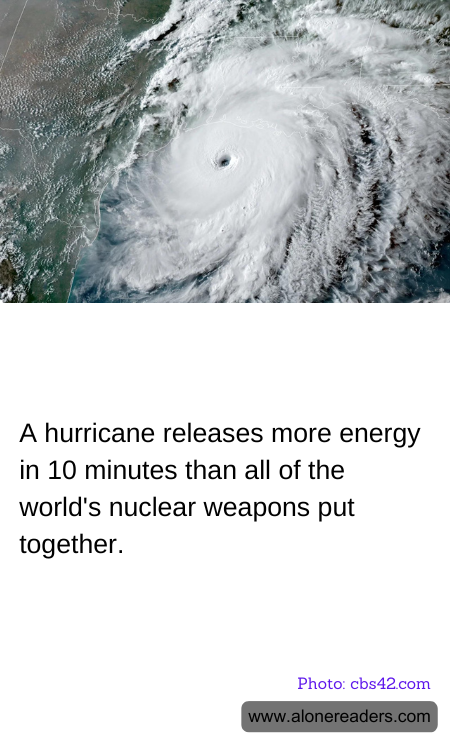 A hurricane releases more energy in 10 minutes than all of the world's nuclear weapons put together.