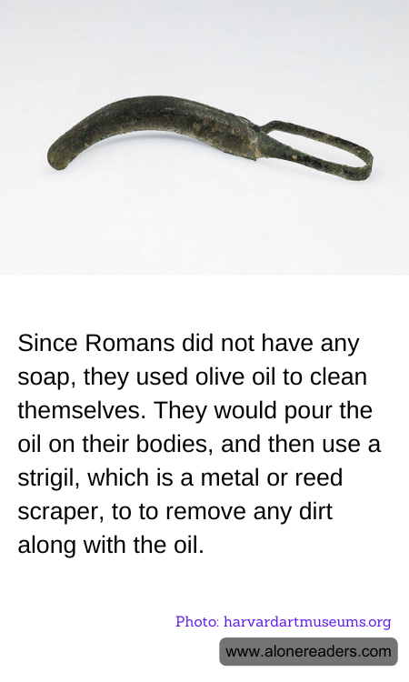 Since Romans did not have any soap, they used olive oil to clean themselves. They would pour the oil on their bodies, and then use a strigil, which is a metal or reed scraper, to to remove any dirt along with the oil.