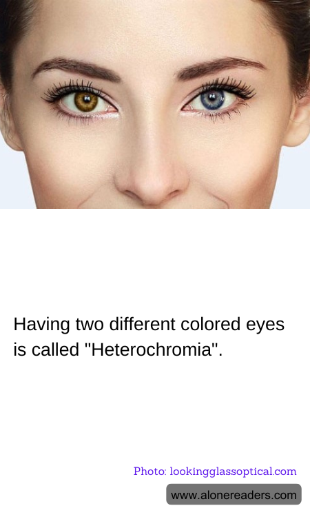 Having two different colored eyes is called "Heterochromia".