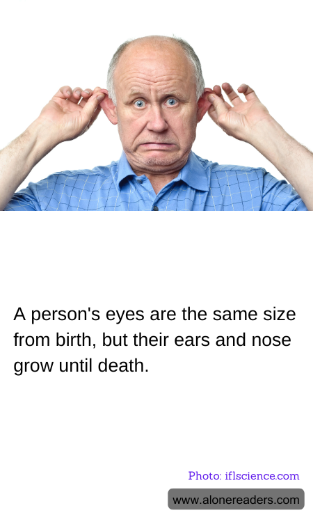 A person's eyes are the same size from birth, but their ears and nose grow until death.