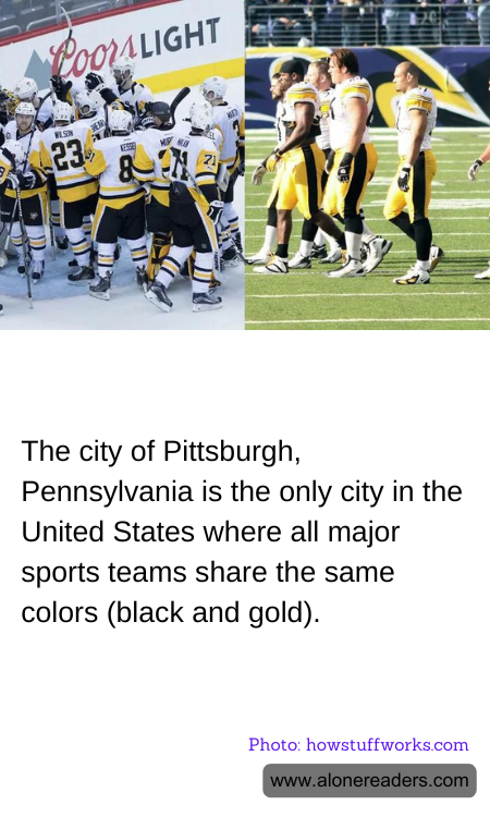 The city of Pittsburgh, Pennsylvania is the only city in the United States where all major sports teams share the same colors (black and gold).
