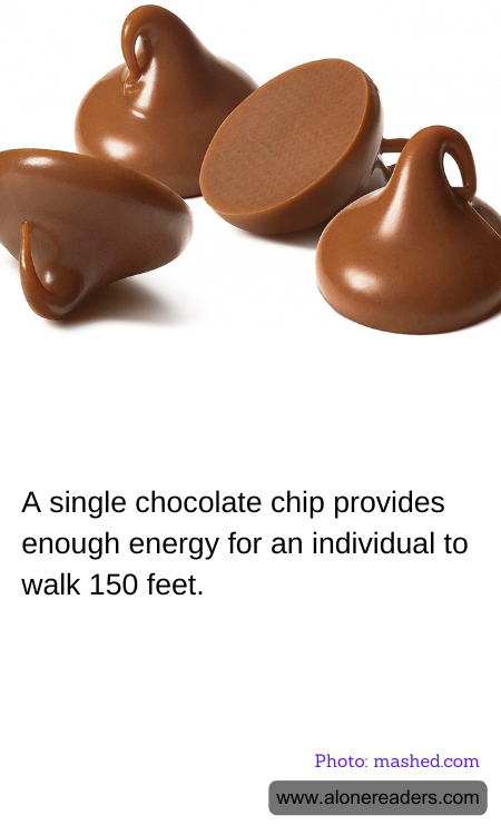 A single chocolate chip provides enough energy for an individual to walk 150 feet.