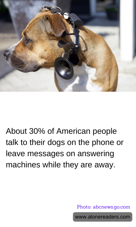 About 30% of American people talk to their dogs on the phone or leave messages on answering machines while they are away.