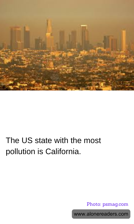 The US state with the most pollution is California.