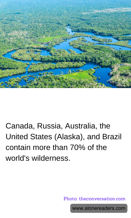 Canada, Russia, Australia, the United States (Alaska), and Brazil contain more than 70% of the world's wilderness.