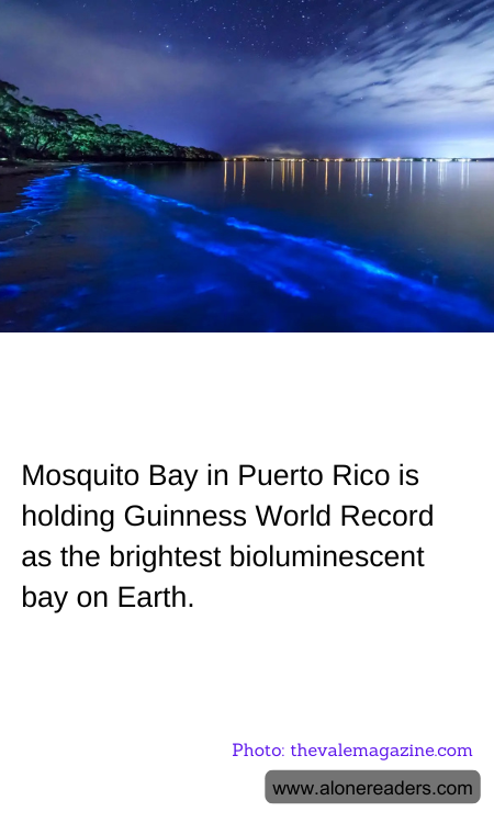 Mosquito Bay in Puerto Rico is holding Guinness World Record as the brightest bioluminescent bay on Earth.