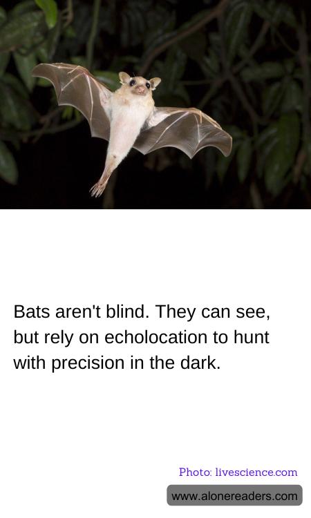 Bats aren't blind. They can see, but rely on echolocation to hunt with precision in the dark.