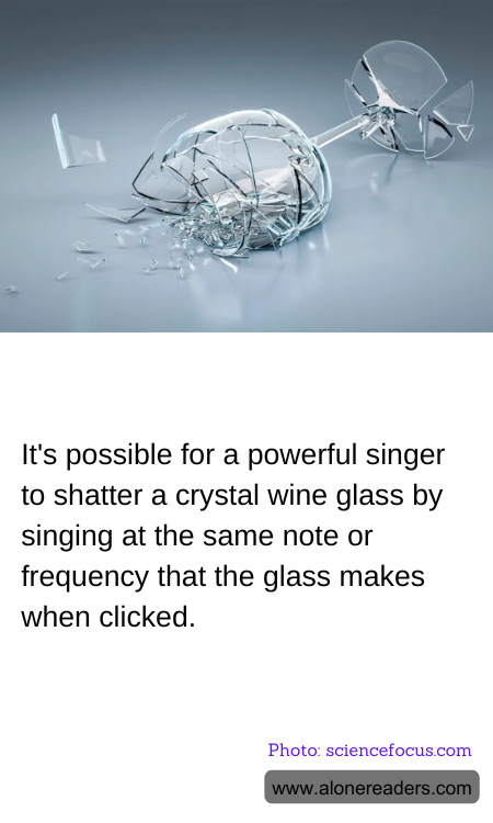It's possible for a powerful singer to shatter a crystal wine glass by singing at the same note or frequency that the glass makes when clicked.