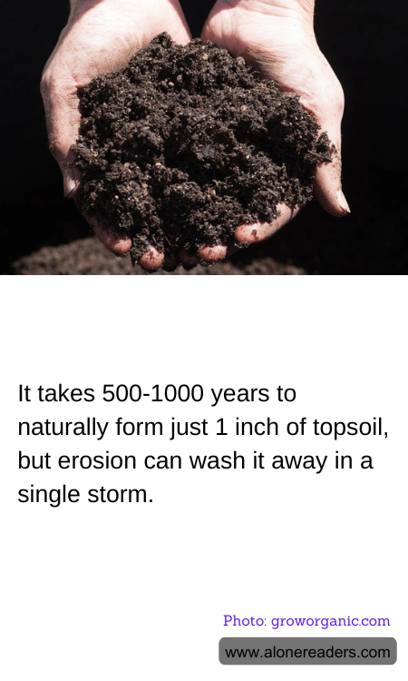 It takes 500-1000 years to naturally form just 1 inch of topsoil, but erosion can wash it away in a single storm.