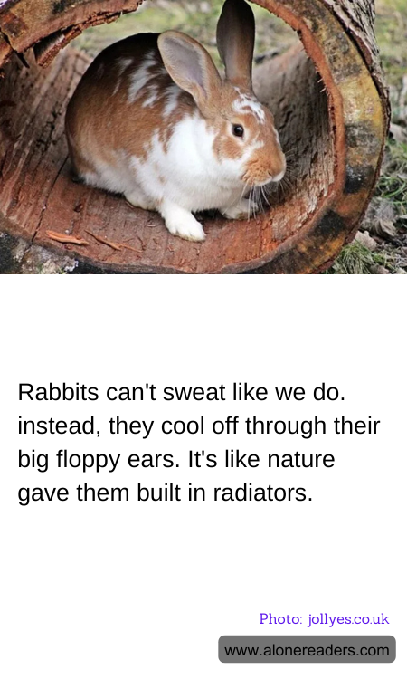 Rabbits can't sweat like we do. instead, they cool off through their big floppy ears. It's like nature gave them built in radiators.