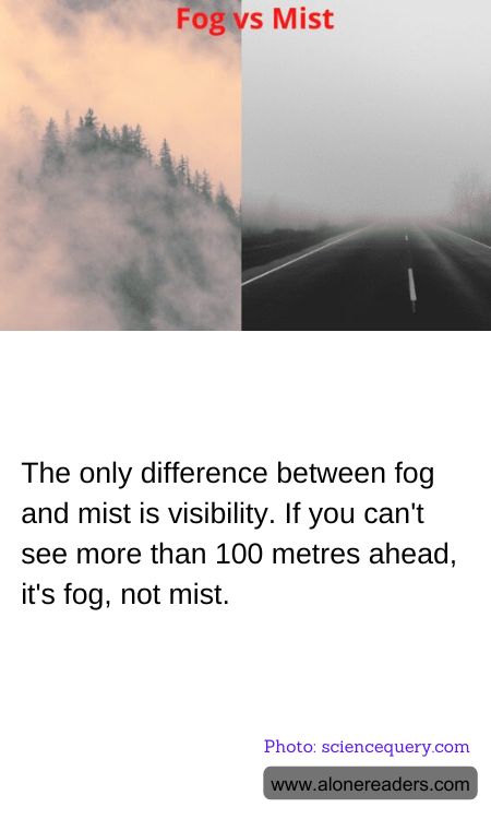 The only difference between fog and mist is visibility. If you can't see more than 100 metres ahead, it's fog, not mist.