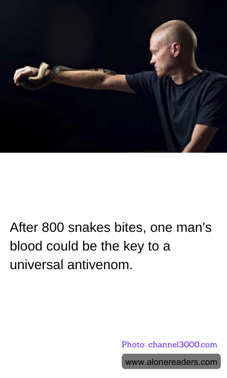 After 800 snakes bites, one man's blood could be the key to a universal antivenom.