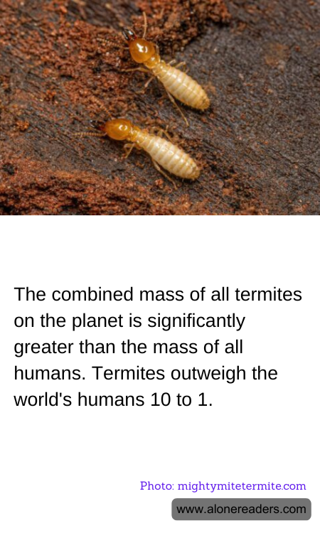 The combined mass of all termites on the planet is significantly greater than the mass of all humans. Termites outweigh the world's humans 10 to 1.