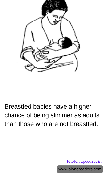 Breastfed babies have a higher chance of being slimmer as adults than those who are not breastfed.