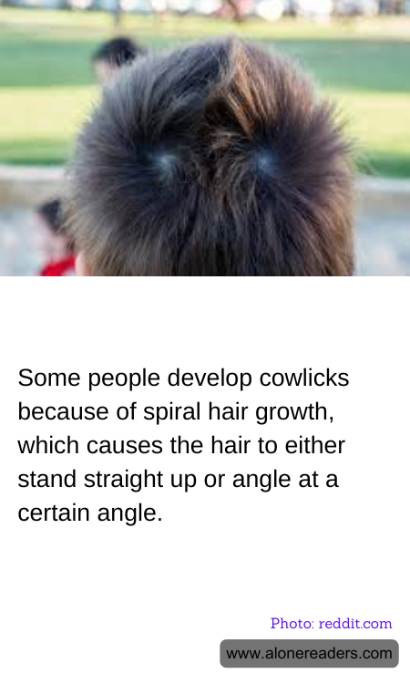 Some people develop cowlicks because of spiral hair growth, which causes the hair to either stand straight up or angle at a certain angle.