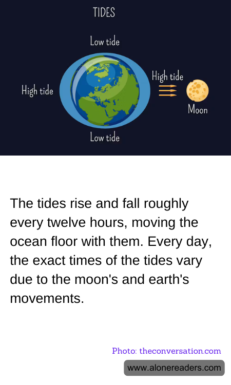 The tides rise and fall roughly every twelve hours, moving the ocean floor with them. Every day, the exact times of the tides vary due to the moon's and earth's movements.