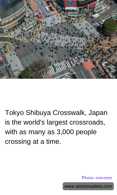 Tokyo Shibuya Crosswalk, Japan is the world's largest crossroads, with as many as 3,000 people crossing at a time.