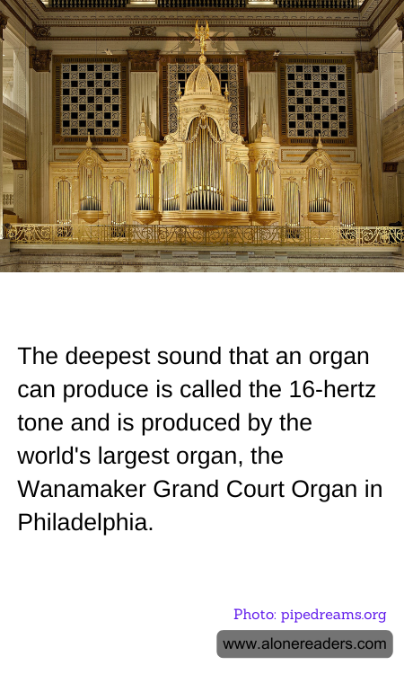 The deepest sound that an organ can produce is called the 16-hertz tone and is produced by the world's largest organ, the Wanamaker Grand Court Organ in Philadelphia.