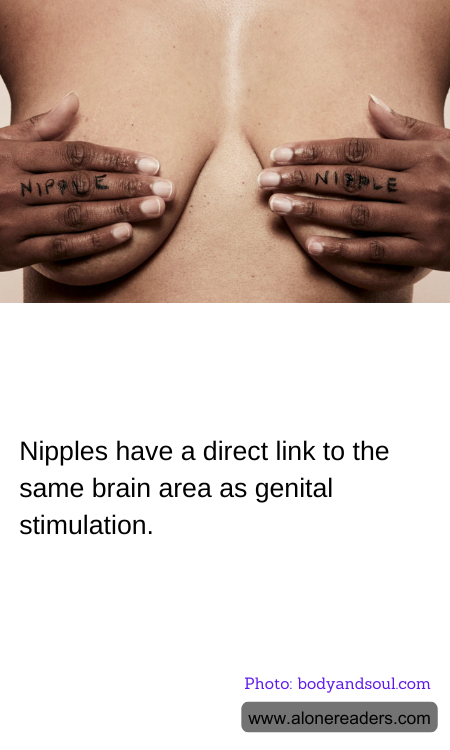 Nipples have a direct link to the same brain area as genital stimulation.