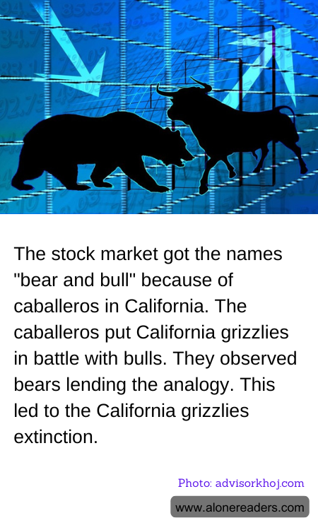 The stock market got the names "bear and bull" because of caballeros in California. The caballeros put California grizzlies in battle with bulls. They observed bears lending the analogy. This led to the California grizzlies extinction.