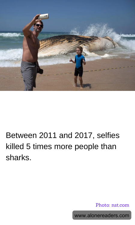 Between 2011 and 2017, selfies killed 5 times more people than sharks.
