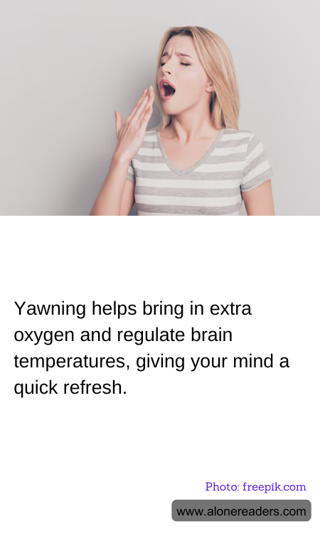 Yawning helps bring in extra oxygen and regulate brain temperatures, giving your mind a quick refresh.