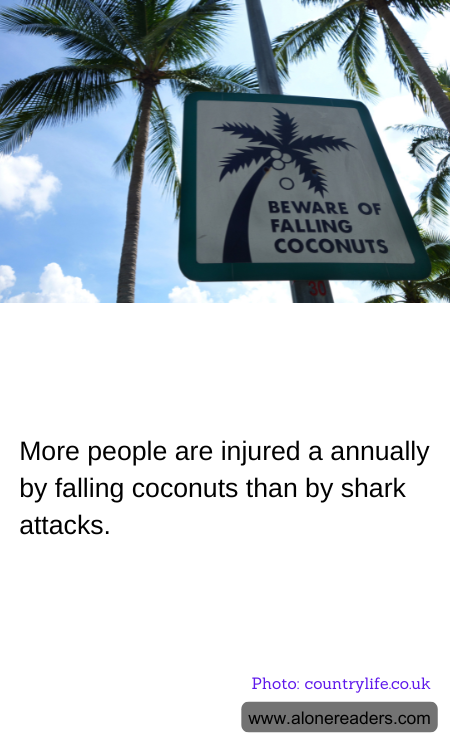 More people are injured a annually by falling coconuts than by shark attacks.