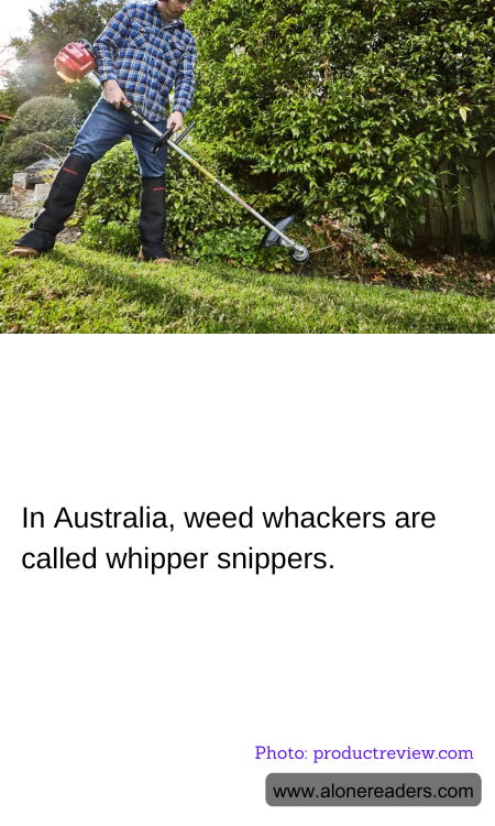In Australia, weed whackers are called whipper snippers.