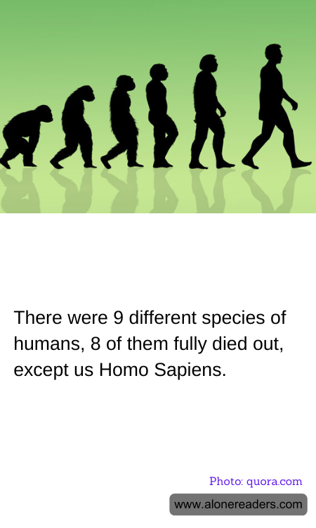 There were 9 different species of humans, 8 of them fully died out, except us Homo Sapiens.
