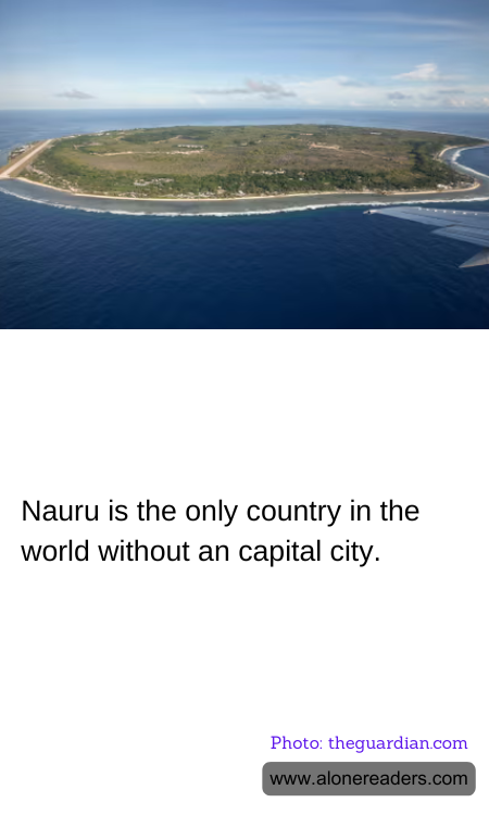 Nauru is the only country in the world without an capital city.