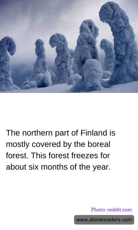 The northern part of Finland is mostly covered by the boreal forest. This forest freezes for about six months of the year.