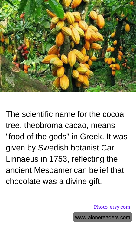 The scientific name for the cocoa tree, theobroma cacao, means "food of the gods" in Greek. It was given by Swedish botanist Carl Linnaeus in 1753, reflecting the ancient Mesoamerican belief that chocolate was a divine gift.