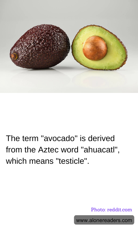 The term "avocado" is derived from the Aztec word "ahuacatl", which means "testicle".