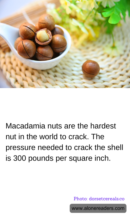 Macadamia nuts are the hardest nut in the world to crack. The pressure needed to crack the shell is 300 pounds per square inch.