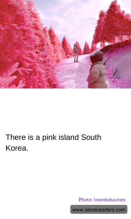 There is a pink island South Korea.