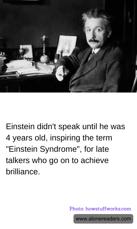 Einstein didn't speak until he was 4 years old, inspiring the term "Einstein Syndrome", for late talkers who go on to achieve brilliance.