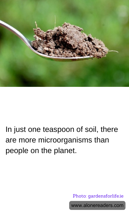 In just one teaspoon of soil, there are more microorganisms than people on the planet.
