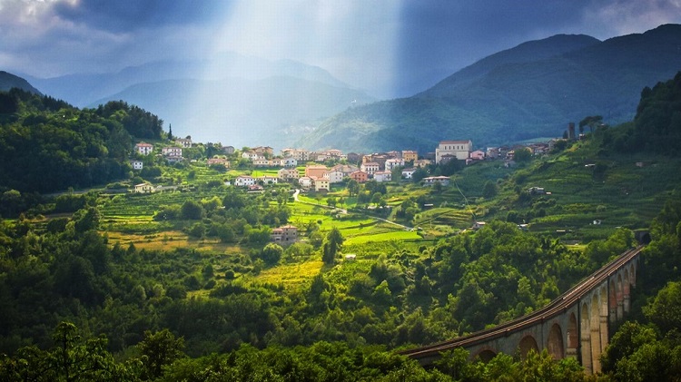 Tuscany: Greenery is Everywhere