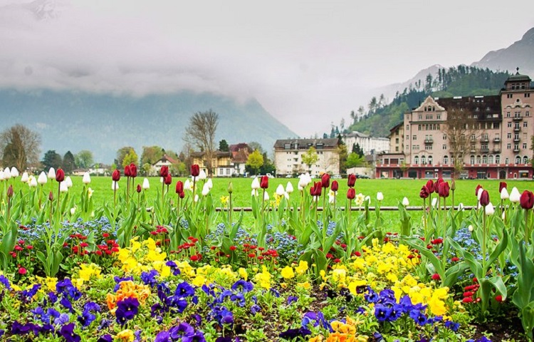 Interlaken: home to flower gardens