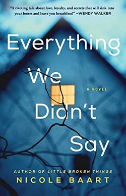 Everything We Didn't Say by Nicole Baart