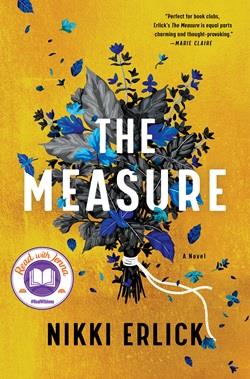 The Measure by Nikki Erlick