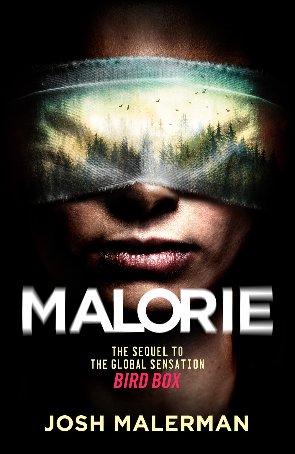 Malorie (Bird Box) by Josh Malerman